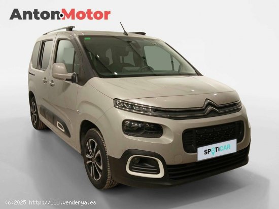 Citroën Berlingo  Talla M BlueHDi 130 S&S 6v 100 AÑOS 100 Años - VITORIA