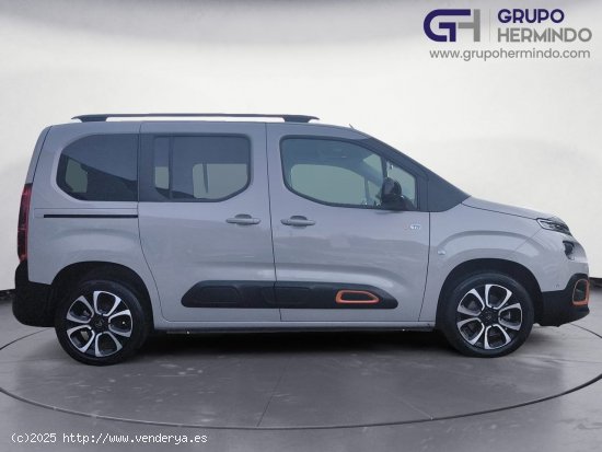 Citroën Berlingo TALLA M BLUE HDI 130 CV SHINE - Ponteareas