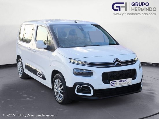  Citroën Berlingo TALLA M FEEL BLUE HDI 100 CV - Ponteareas 