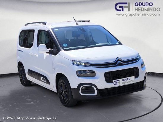 Citroën Berlingo TALLA M FEEL BLUE HDI 100 CV - Ponteareas