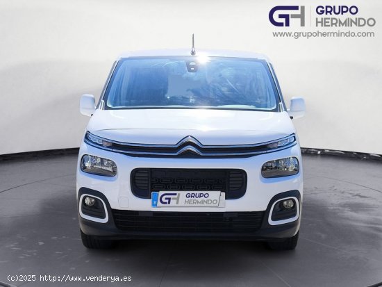 Citroën Berlingo TALLA M FEEL BLUE HDI 100 CV - Ponteareas