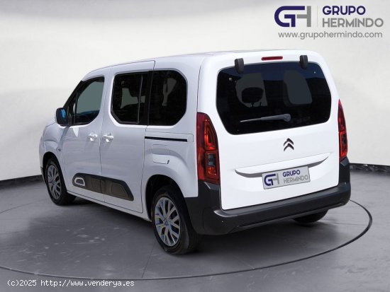 Citroën Berlingo TALLA M FEEL BLUE HDI 100 CV - Ponteareas