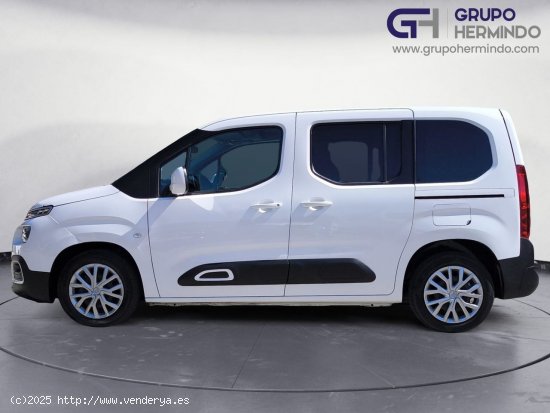 Citroën Berlingo TALLA M FEEL BLUE HDI 100 CV - Ponteareas