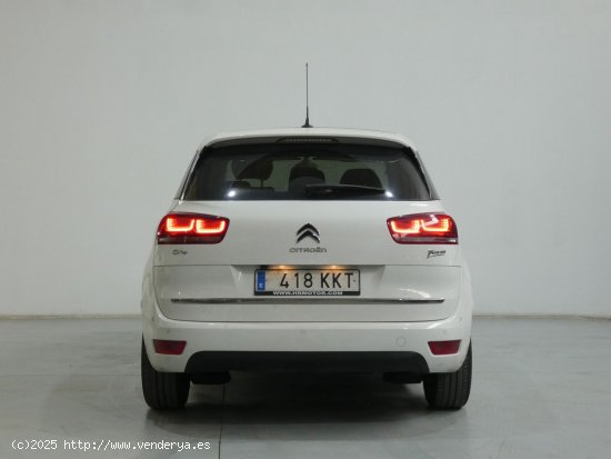 Citroën C4 Picasso Shine - Galdakao