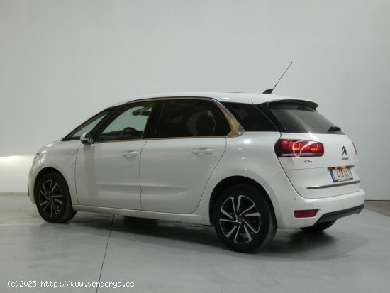 Citroën C4 Picasso Shine - Galdakao