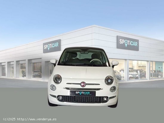 Fiat 500 Dolcevita 1.0 Hybrid 51KW (70 CV) - Jaén