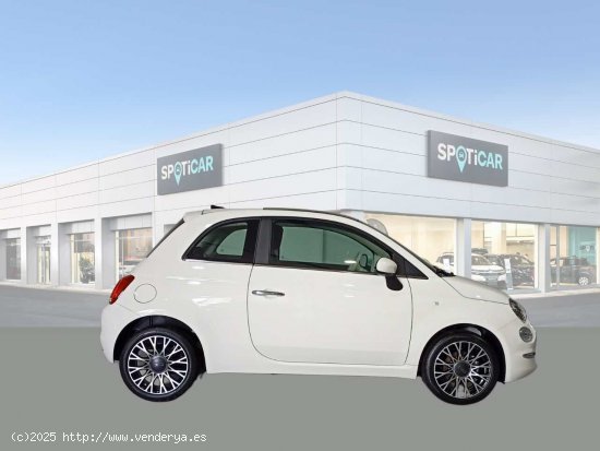 Fiat 500 Dolcevita 1.0 Hybrid 51KW (70 CV) - Jaén