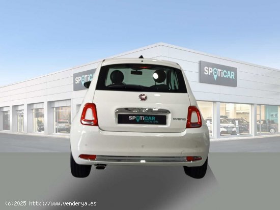 Fiat 500 Dolcevita 1.0 Hybrid 51KW (70 CV) - Jaén