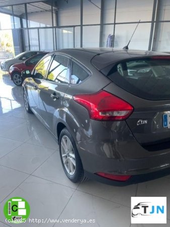 FORD Focus en venta en Baza (Granada) - Baza