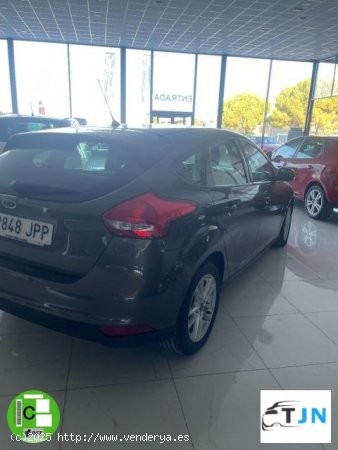 FORD Focus en venta en Baza (Granada) - Baza