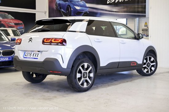 Citroën C4 Cactus   BlueHDi 100 SS Shine - 