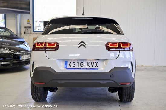 Citroën C4 Cactus   BlueHDi 100 SS Shine - 