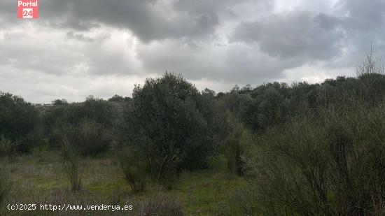 Parcela en Campo Maior - BADAJOZ