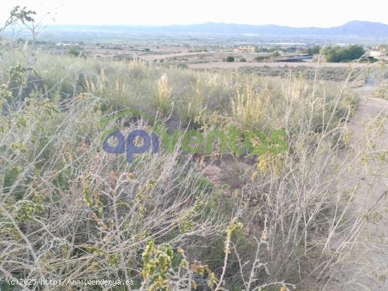 Terreno en el Alto  Purias - MURCIA