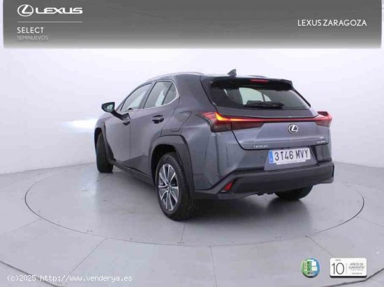 Lexus UX 300e Business City + CARE VO + Pack Boutique Select - Zaragoza