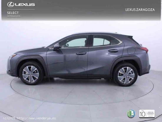 Lexus UX 300e Business City + CARE VO + Pack Boutique Select - Zaragoza