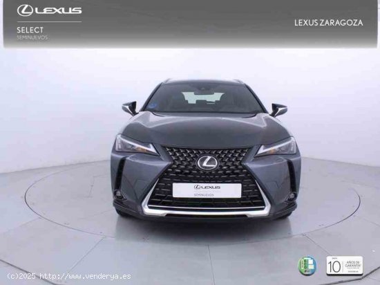 Lexus UX 300e Business City + CARE VO + Pack Boutique Select - Zaragoza