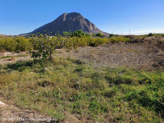 Se Vende en El rebolledo - ALICANTE