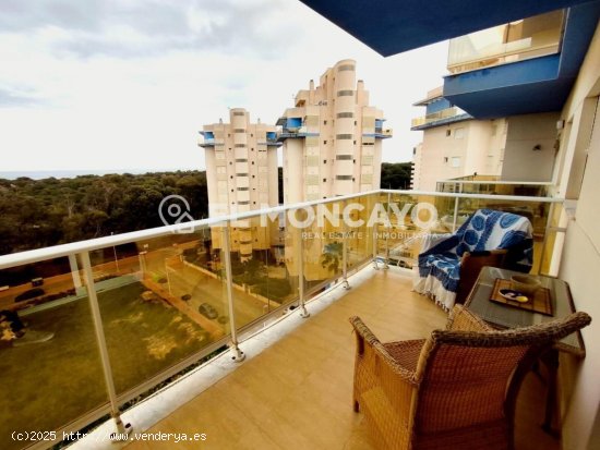 Apartamento en venta en Guardamar del Segura (Alicante)