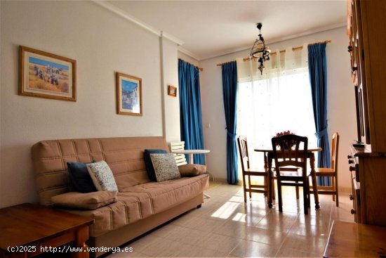 Apartamento en alquiler en Guardamar del Segura (Alicante)