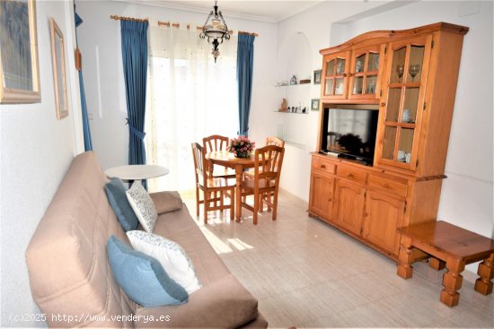 Apartamento en alquiler en Guardamar del Segura (Alicante)