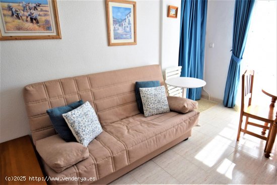 Apartamento en alquiler en Guardamar del Segura (Alicante)