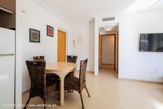 GRAN APARTAMENTO EN TORREVIEJA, 2 HAB, 1 BAÑO - ALICANTE