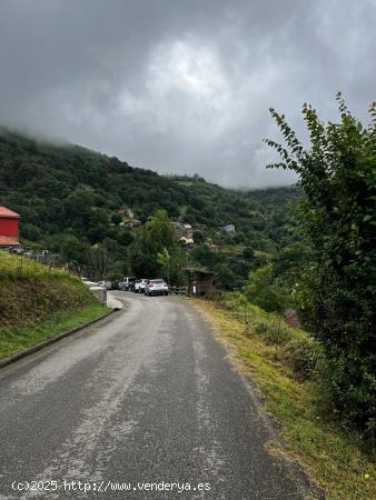 Oportunidad de finca edificable en el entorno natural y montañoso del Valle de Turón - ASTURIAS