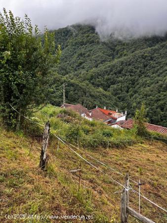 Oportunidad de finca edificable en el entorno natural y montañoso del Valle de Turón - ASTURIAS