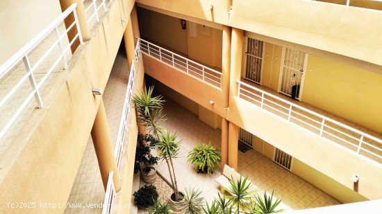 Apartamento en venta en San Miguel de Salinas (Alicante)