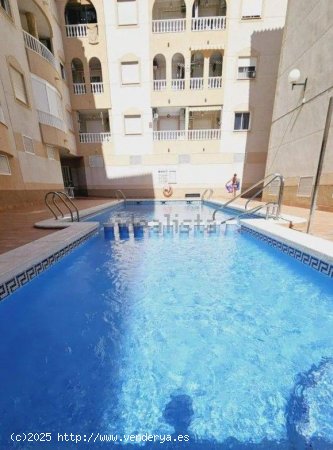 Apartamento en venta en Torrevieja (Alicante)