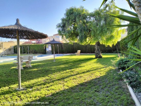 Casa en venta en Torrevieja (Alicante)