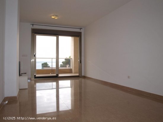  Apartamento en alquiler en Alicante (Alicante) 