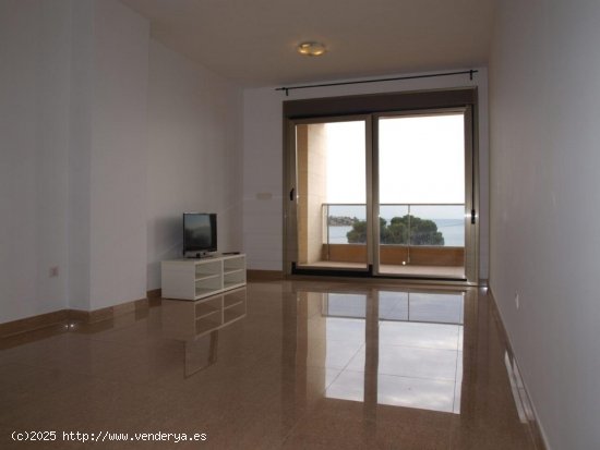 Apartamento en alquiler en Alicante (Alicante)