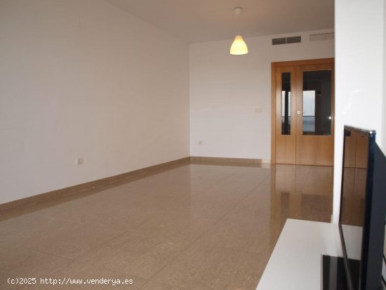 Apartamento en alquiler en Alicante (Alicante)