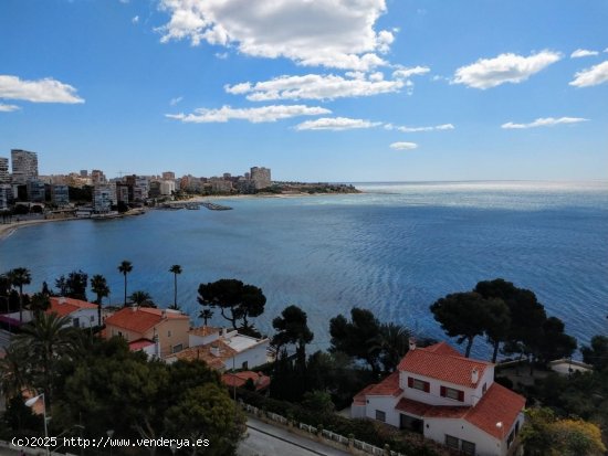 Piso en alquiler en Alicante (Alicante)