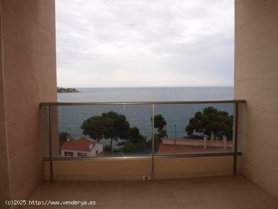 Apartamento en alquiler en Alicante (Alicante)