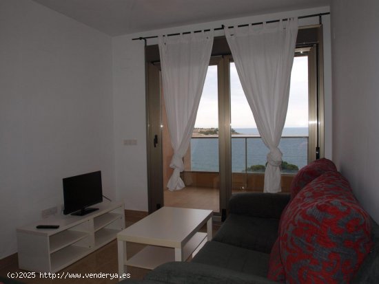 Apartamento en alquiler en Alicante (Alicante)