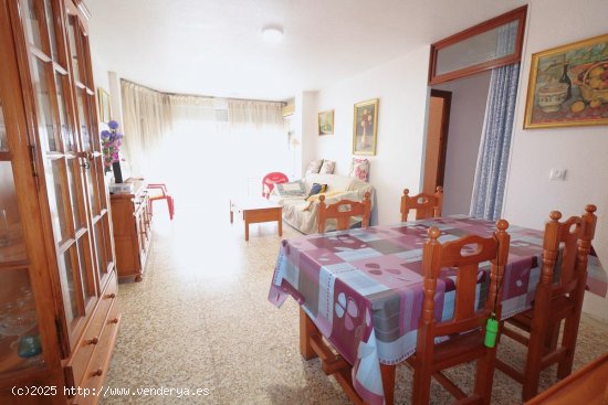 Apartamento en venta en Torrevieja (Alicante)