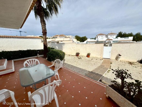 Chalet en alquiler en Orihuela (Alicante)