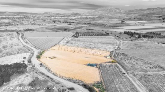 Terreno en Monforte del Cid - ALICANTE