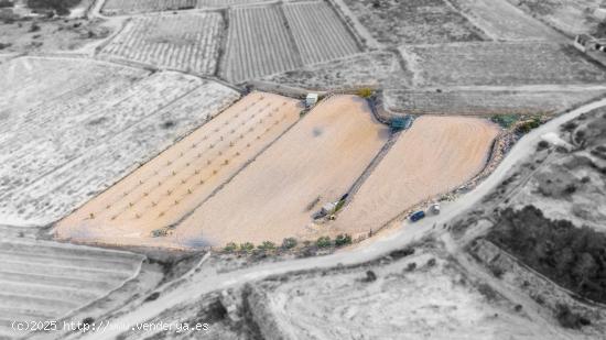 Terreno en Monforte del Cid - ALICANTE