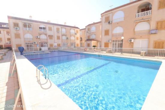  Torrevieja Acequión Apartamento planta baja - ALICANTE 