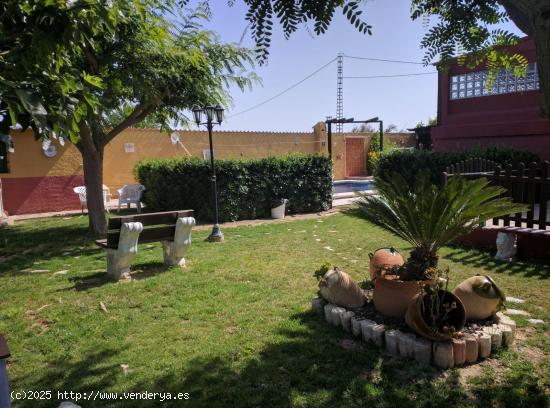 ESPECTACULAR CASA DE LUJO CON AMPLIA PARCELA, PISCINA Y JARDÍN PRIVADO - ALICANTE