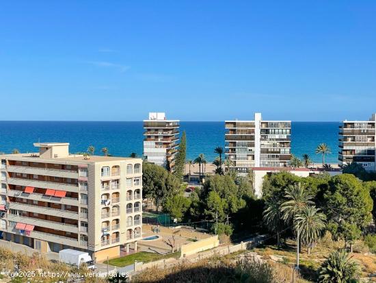 Vivienda en Parque Mariola Pau 5 - ALICANTE