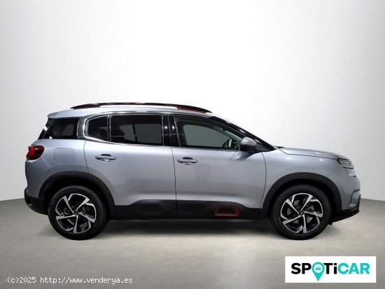 Citroën C5 Aircross BlueHdi 96kW (130CV) S&S Feel - 