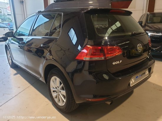 Volkswagen Golf 1.6 Tdi Advance - Reus