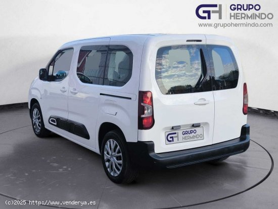 Citroën Berlingo TALLA M FEEL BLUE HDI 100 CV - Ponteareas