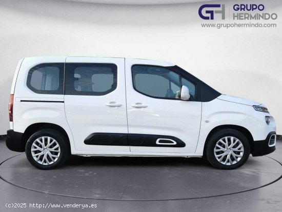 Citroën Berlingo TALLA M FEEL BLUE HDI 100 CV - Ponteareas