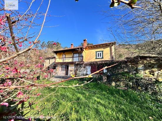 MARAVILLOSA CASA EN ARENAL DE PENAGOS CON 3.000 M2 DE TERRENO URBANO - CANTABRIA